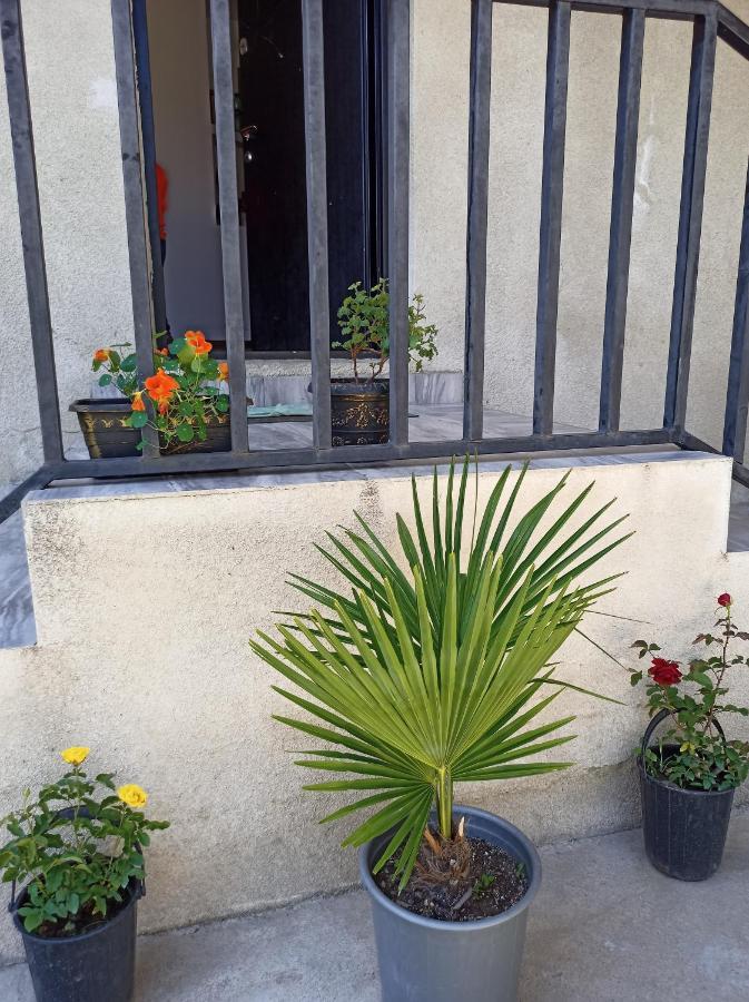 מסטיה House B&B מראה חיצוני תמונה