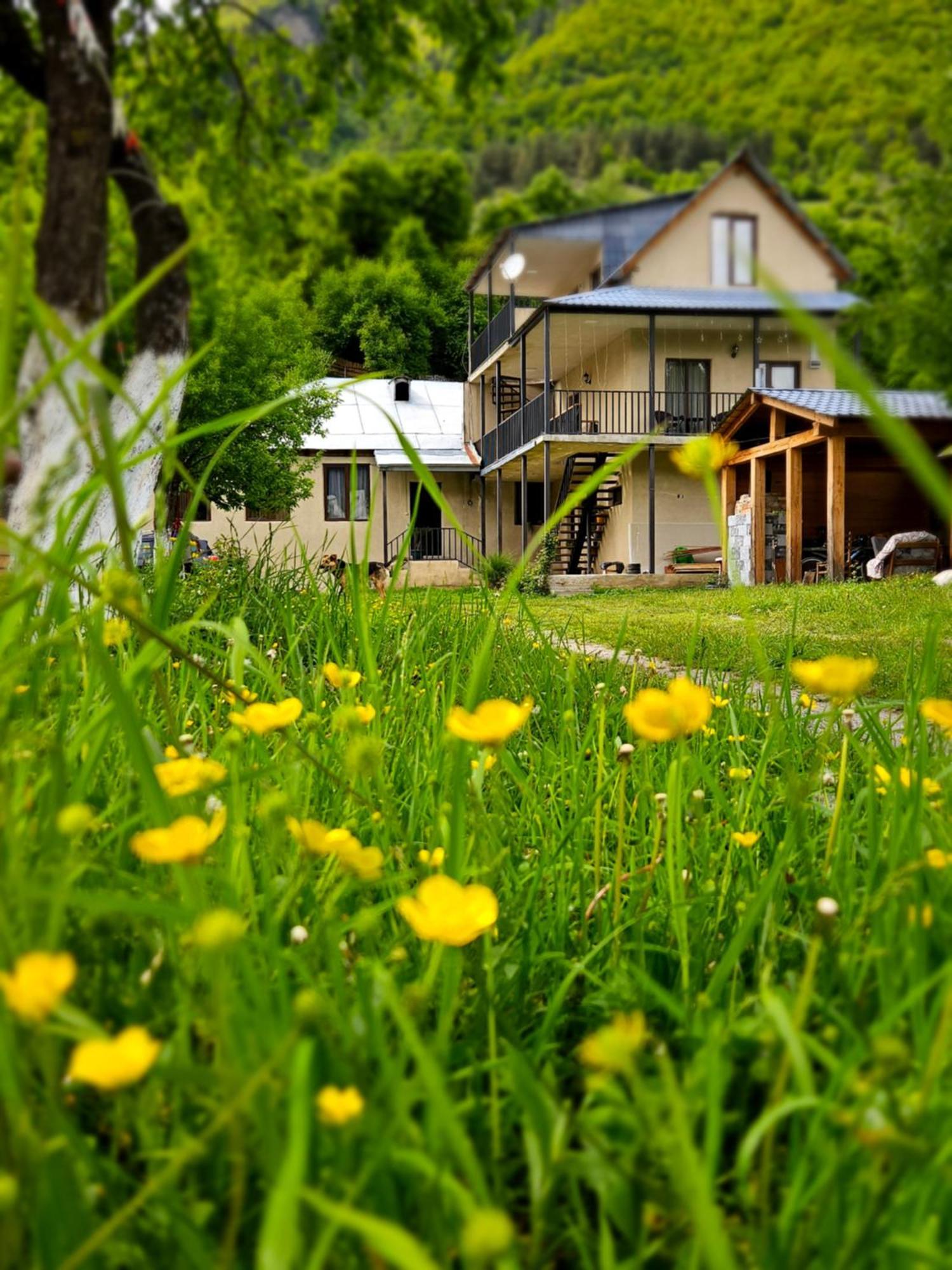 מסטיה House B&B מראה חיצוני תמונה
